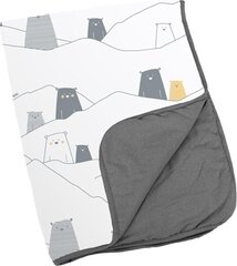 Peitto Doomoo Dream Bear, harmaa, 75 x 100 cm hinta ja tiedot | Vauvan hoitoalustat ja tekstiilit | hobbyhall.fi
