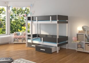 Kerrossänky ADRK Furniture Etiona 90x200 cm, valkoinen/musta hinta ja tiedot | Lastensängyt | hobbyhall.fi