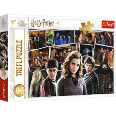 Trefl Harry Potter -palapeli, 160 palaa hinta ja tiedot | Palapelit | hobbyhall.fi