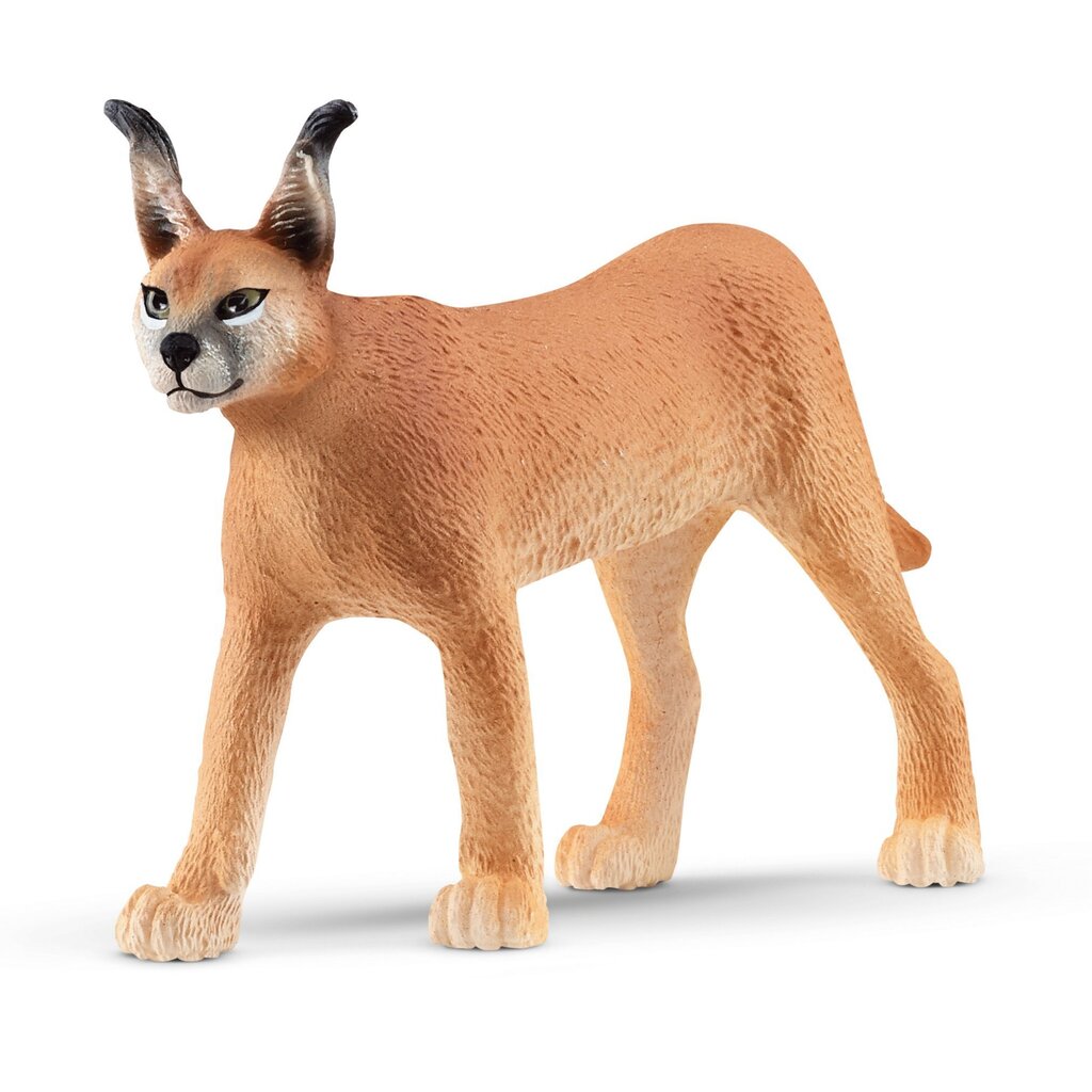 Figuuri Caracal-naaras Schleich Wild Life hinta ja tiedot | Poikien lelut | hobbyhall.fi