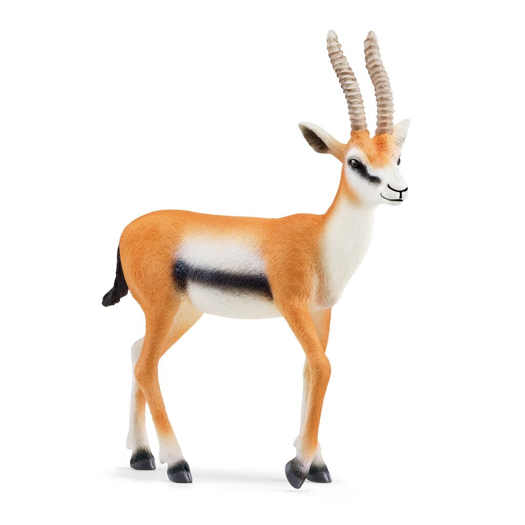 Schleich Wild Life Thomsonin gaselli -figuuri hinta ja tiedot | Poikien lelut | hobbyhall.fi