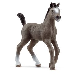 Schleich Horse Club Cheval de Selle Francais varsa -hahmo hinta ja tiedot | Poikien lelut | hobbyhall.fi