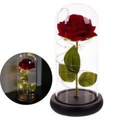 Ikuinen ruusu lasissa - loistaa hinta ja tiedot | Kestoruusut | hobbyhall.fi