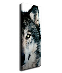 Taulu Wolves hinta ja tiedot | Taulut | hobbyhall.fi