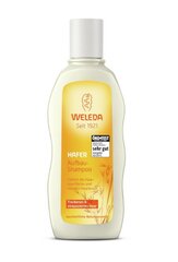 Weleda Oat shampoo 190 ml hinta ja tiedot | Shampoot | hobbyhall.fi