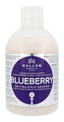 Shampoo kuiville hiuksille Kallos Blueberry Shampoo 1000 ml hinta ja tiedot | Shampoot | hobbyhall.fi