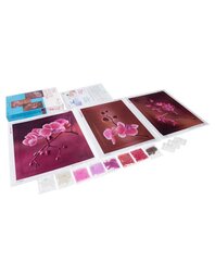 Kirjontasarja MiniArt Crafts Pink Orchids triptyykki hinta ja tiedot | Kirjontatarvikkeet | hobbyhall.fi