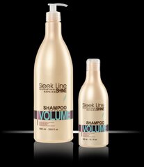 Shampoo, Stapiz Sleek Line Volume, 1000 ml hinta ja tiedot | Shampoot | hobbyhall.fi