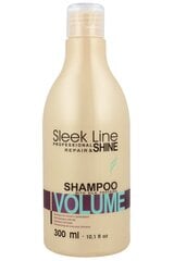 Stapiz Sleek Line Volume shampoo 300 ml hinta ja tiedot | STAPIZ PROFESSIONAL Hajuvedet ja kosmetiikka | hobbyhall.fi