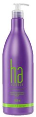 Stapiz Ha Essence Aquatic Revitalising Shampoo shampoo 1000 ml hinta ja tiedot | STAPIZ PROFESSIONAL Hajuvedet ja kosmetiikka | hobbyhall.fi