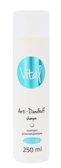 Stapiz Vital Anti-Dandruff Shampoo shampoo 250 ml hinta ja tiedot | STAPIZ PROFESSIONAL Hajuvedet ja kosmetiikka | hobbyhall.fi