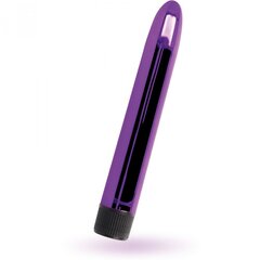 Vibrator Intense Vito, violetti hinta ja tiedot | Vibraattorit | hobbyhall.fi