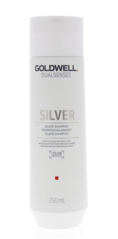 Vaalea hiusshampoo Goldwell Dualsenses Silver Shampoo 250ml hinta ja tiedot | Shampoot | hobbyhall.fi