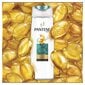 Shampoo rasvaisille hiuksille Pantene Fine Aqua Light 250 ml hinta ja tiedot | Shampoot | hobbyhall.fi