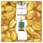 Shampoo rasvaisille hiuksille Pantene Fine Aqua Light 400 ml hinta ja tiedot | Shampoot | hobbyhall.fi