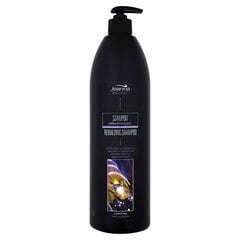 Joanna Professional Keratin shampoo 1000 ml hinta ja tiedot | Shampoot | hobbyhall.fi