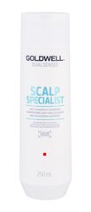 Hilseenvastainen shampoo Goldwell Dualsenses Scalp Specialist hilseenestoshampoo 250ml hinta ja tiedot | Shampoot | hobbyhall.fi