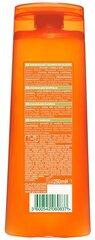 Shampoo vaurioituneille hiuksille GARNIER Fructis Goodbye Damage, 250 ml hinta ja tiedot | Shampoot | hobbyhall.fi