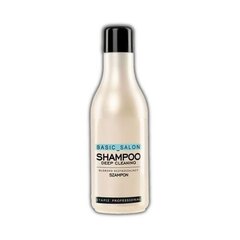 Stapiz Basic Salon Deep Cleaning shampoo 1000 ml hinta ja tiedot | STAPIZ PROFESSIONAL Hajuvedet ja kosmetiikka | hobbyhall.fi