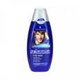 Schauma For Men shampoo mihelle 400 ml