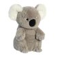 Pehmeä lelu Aurora Eco Nation koala, 20 cm hinta ja tiedot | Pehmolelut | hobbyhall.fi