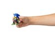 Figuurisarja Sonic, 3 kpl, 6,5 cm hinta ja tiedot | Poikien lelut | hobbyhall.fi