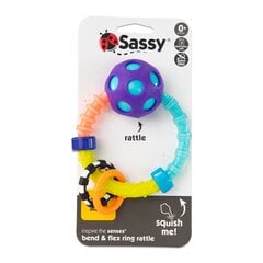 Rattle-chew Sassy Ring hinta ja tiedot | Vauvan lelut | hobbyhall.fi