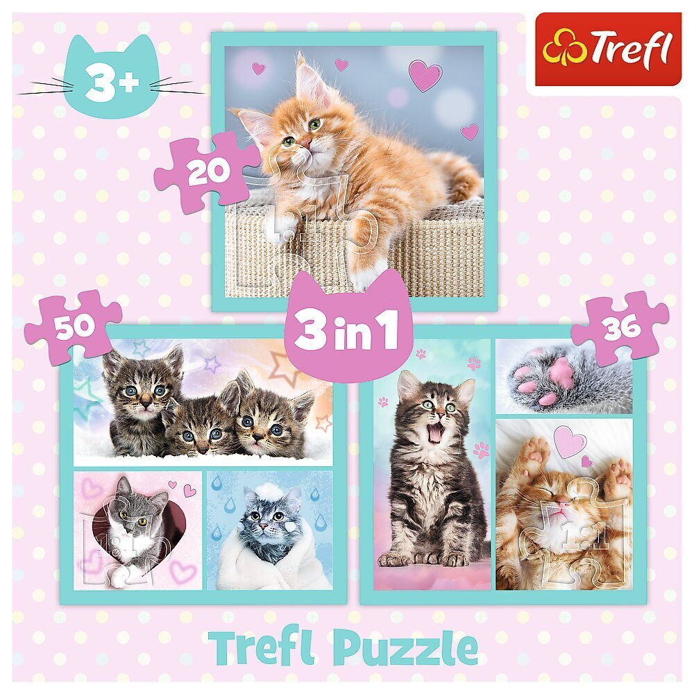 3 palapelin setti Trefl Kittens hinta ja tiedot | Palapelit | hobbyhall.fi