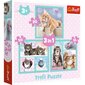 3 palapelin setti Trefl Kittens hinta ja tiedot | Palapelit | hobbyhall.fi