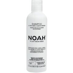Shampoo heikoille ja vaurioituneille hiuksille Noah Fortifying 250 ml hinta ja tiedot | Noah Hajuvedet ja kosmetiikka | hobbyhall.fi