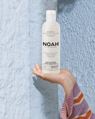 Uudistava shampoo kuiville ja kemiallisesti käsitellyille hiuksille Noah 250 ml hinta ja tiedot | Shampoot | hobbyhall.fi
