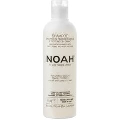 Shampoo kuiville ja hauraille hiuksille Noah 250 ml hinta ja tiedot | Noah Hajuvedet ja kosmetiikka | hobbyhall.fi