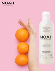 Shampoo rasvoittuville hiuksille Noah 250 ml hinta ja tiedot | Shampoot | hobbyhall.fi