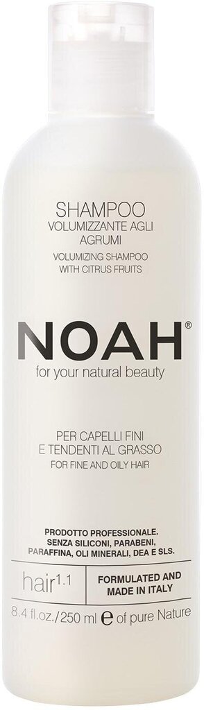 Shampoo rasvoittuville hiuksille Noah 250 ml hinta ja tiedot | Shampoot | hobbyhall.fi