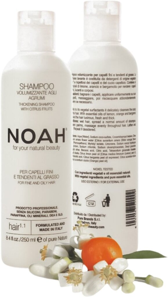 Shampoo rasvoittuville hiuksille Noah 250 ml hinta ja tiedot | Shampoot | hobbyhall.fi