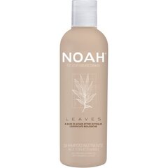 Ravitseva shampoo bambunlehdillä Noah 250 ml hinta ja tiedot | Shampoot | hobbyhall.fi