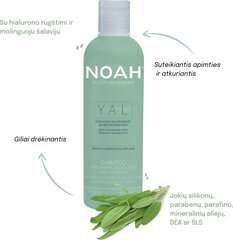 Noah kosteuttava shampoo 250 ml hinta ja tiedot | Noah Hajuvedet ja kosmetiikka | hobbyhall.fi