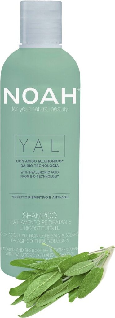 Noah kosteuttava shampoo 250 ml hinta ja tiedot | Shampoot | hobbyhall.fi