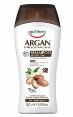 Equilibra Argan -suojaava shampoo, 250 ml hinta ja tiedot | Shampoot | hobbyhall.fi