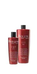 Fanola Botugen shampoo 300 ml hinta ja tiedot | Shampoot | hobbyhall.fi