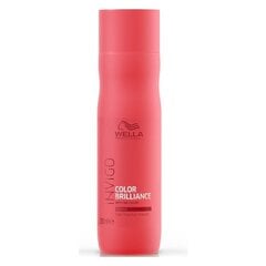 Shampoo karkeille, värjätyille hiuksille Wella Brilliance Invigo Coarse 250ml hinta ja tiedot | Shampoot | hobbyhall.fi