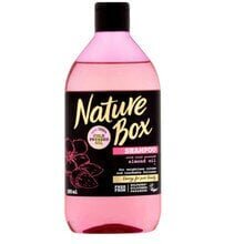 Shampoo manteliöljyllä NATURE BOX Almond 385 ml hinta ja tiedot | Shampoot | hobbyhall.fi