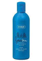 Ziaja GdanSkin shampoo 300 ml hinta ja tiedot | Shampoot | hobbyhall.fi