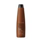 Kosteuttava shampoo Lakme K.therapy Bio Argan 300ml hinta ja tiedot | Shampoot | hobbyhall.fi