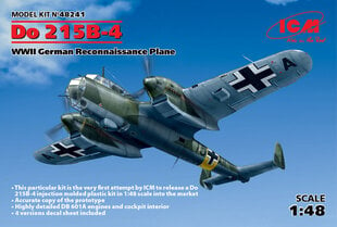 Kokoonpantava malli ICM 48241 Do 215 B-4, WWII German Reconnaissance Plane 1/48 hinta ja tiedot | Koottavat pienoismallit | hobbyhall.fi