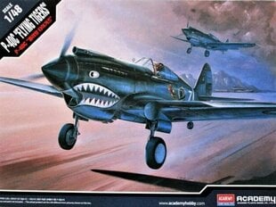 Liimattava pienoismalli Academy 12280 P-40C 1/48 hinta ja tiedot | Academy Hobby Vapaa-ajan pelit ja askartelu | hobbyhall.fi