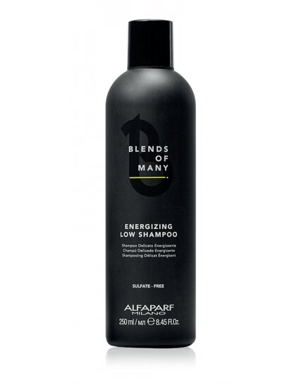 Virkistävä shampoo miehille Alfaparf Milano Blends Of Many 250 ml hinta ja tiedot | Shampoot | hobbyhall.fi