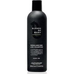 Hilseenesto shampoo rasvoittuville miesten hiuksille Alfaparf Milano Blends Of Many 250 ml hinta ja tiedot | Brandberry Hajuvedet ja kosmetiikka | hobbyhall.fi