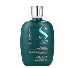 Shampoo vaurioituneille hiuksille Alfaparf Milano Semi Di Lino Reconstruction 250 ml hinta ja tiedot | Shampoot | hobbyhall.fi