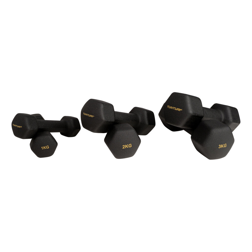 Käsipainoteline Tunturi Centuri Neoprene Dumbellset 3Prs+Teline hinta ja tiedot | Käsipainot, kahvakuulat ja voimaharjoittelu | hobbyhall.fi